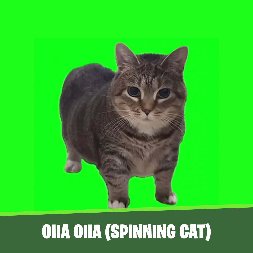 OIIA OIIA (Spinning Cat)